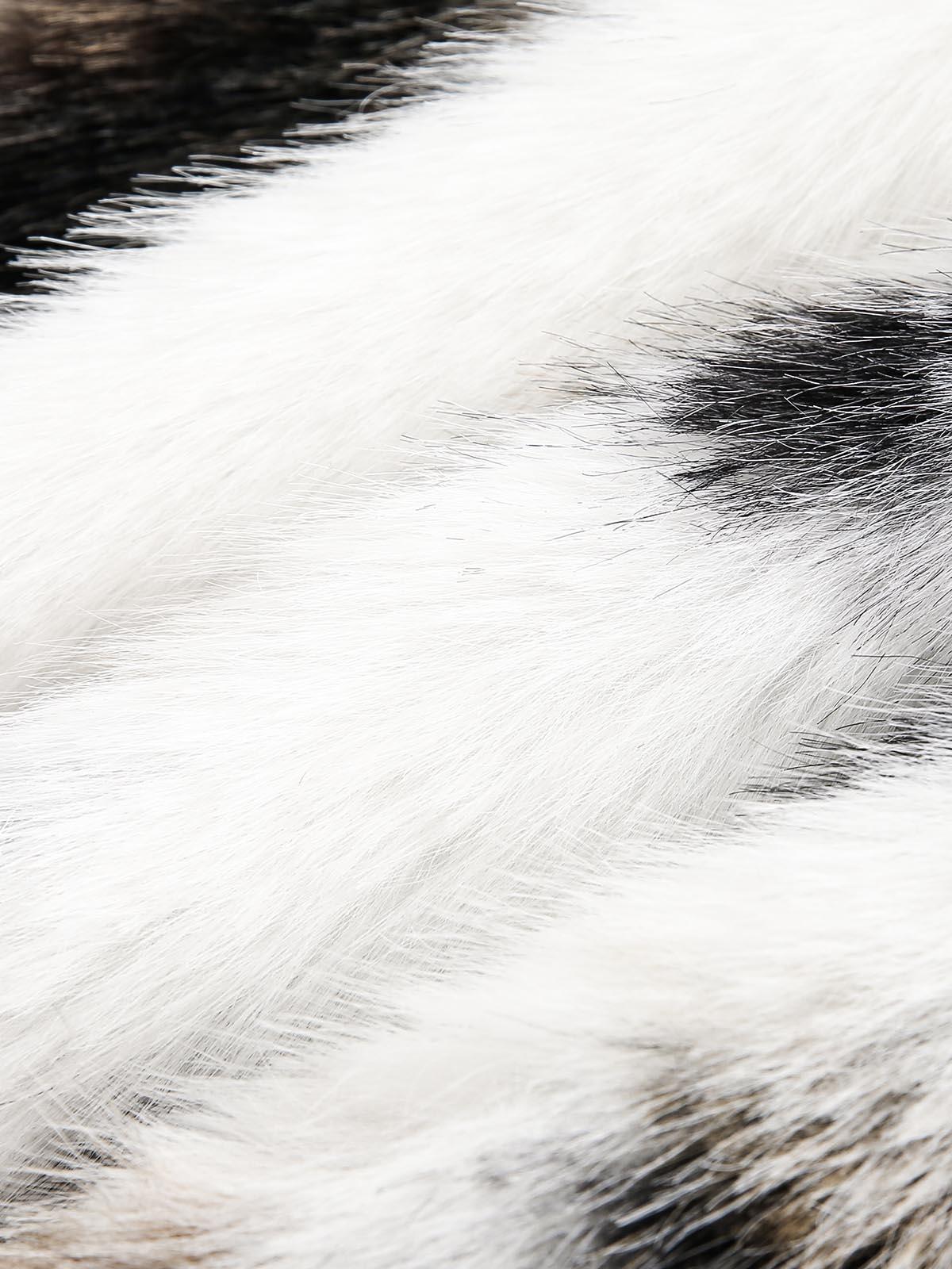 Sneakerhub Contrast Color Faux Fur Jacket - sneakershuborg