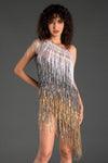 Banouli One Shoulder Fringe Glitter Dress sneakershuborg